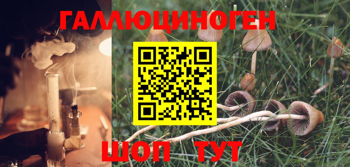 Рязань  Галлюциногенные грибы Magic Shrooms  Псилоцибиновые грибы Magic Shrooms  Вход с VPN 